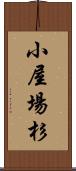 小屋場杉 Scroll