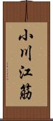 小川江筋 Scroll