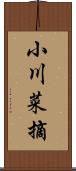 小川菜摘 Scroll