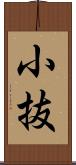 小抜 Scroll