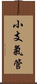 小支氣管 Scroll