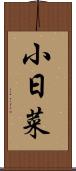 小日菜 Scroll