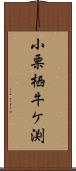 小栗栖牛ケ渕 Scroll