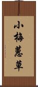 小梅蕙草 Scroll