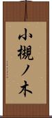 小槻ノ木 Scroll