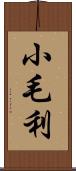 小毛利 Scroll