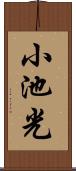 小池光 Scroll