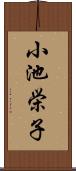 小池栄子 Scroll