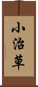 小治草 Scroll