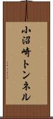 小沼崎トンネル Scroll