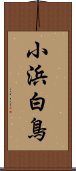 小浜白鳥 Scroll