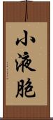 小液胞 Scroll