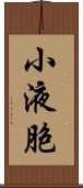 小液胞 Scroll