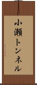 小瀬トンネル Scroll