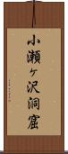 小瀬ヶ沢洞窟 Scroll