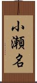 小瀬名 Scroll