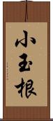 小玉根 Scroll