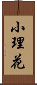 小理花 Scroll