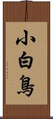 小白鳥 Scroll