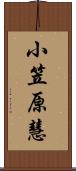 小笠原慧 Scroll