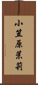 小笠原茉莉 Scroll