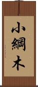 小綱木 Scroll