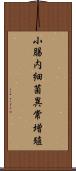 小腸内細菌異常増殖 Scroll