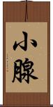 小腺 Scroll