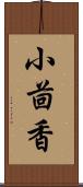 小茴香 Scroll