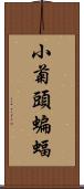 小菊頭蝙蝠 Scroll