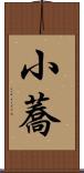 小蕎 Scroll
