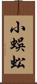 小蜈蚣 Scroll