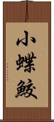 小蝶鮫 Scroll