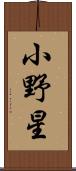 小野星 Scroll