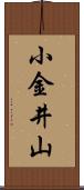 小金井山 Scroll