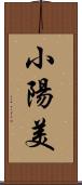 小陽美 Scroll