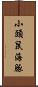 小頭鼠海豚 Scroll