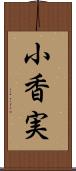 小香実 Scroll