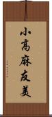 小高麻友美 Scroll