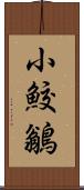 小鮫鶲 Scroll