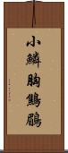 小鱗胸鷦鶥 Scroll