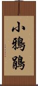 小鴉鵑 Scroll