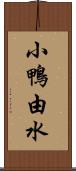 小鴨由水 Scroll