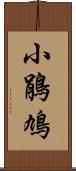 小鵑鳩 Scroll