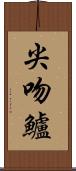 尖吻鱸 Scroll