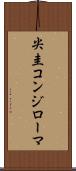 尖圭コンジローマ Scroll