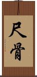 尺骨 Scroll