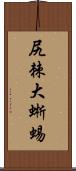 尻棘大蜥蜴 Scroll