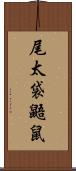 尾太袋鼯鼠 Scroll