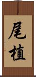 尾植 Scroll